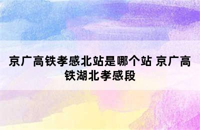 京广高铁孝感北站是哪个站 京广高铁湖北孝感段